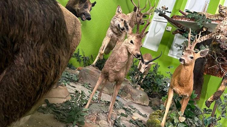 30 ÜLKEDE AVLANDIĞI ÖĞRENİLDİ