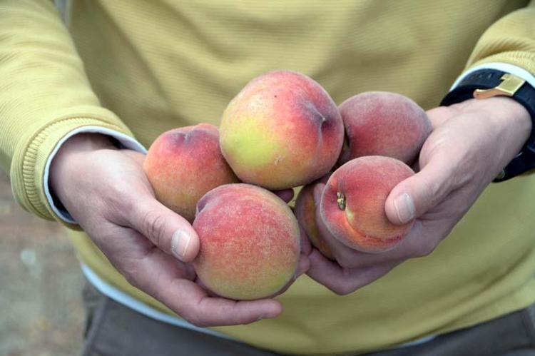 VERİMDEN VE FİYATTAN MEMNUNUZ