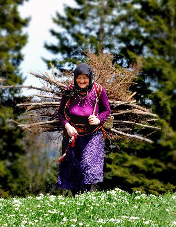 KÜLTÜREL AKTARIM DURMA NOKTASINA GELDİ