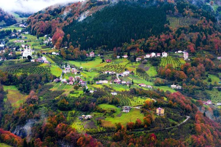 NÜFUSUN YARISINDAN FAZLASI KENTLERE GÖÇTÜ