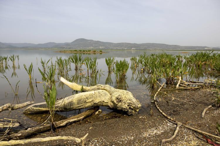 TARIM HAVZASI SULANMASINDA KULLANACAĞIZ