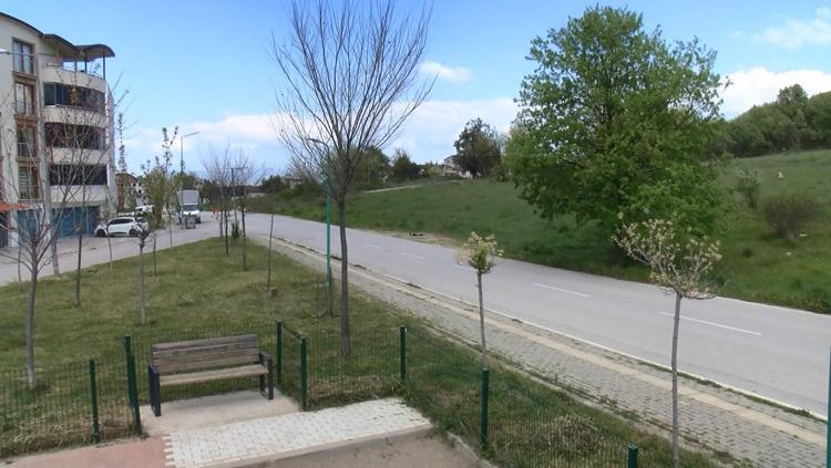 ‘O KÖPEKLER BU MAHALLENİN KÖPEĞİ DEĞİL’