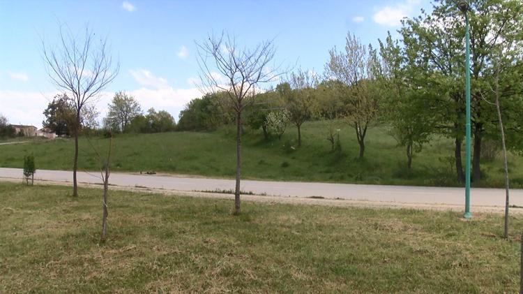 ‘HAYVAN SEVİYORUZ DİYE KÖPEKLER BİZİ PARÇALASIN MI’