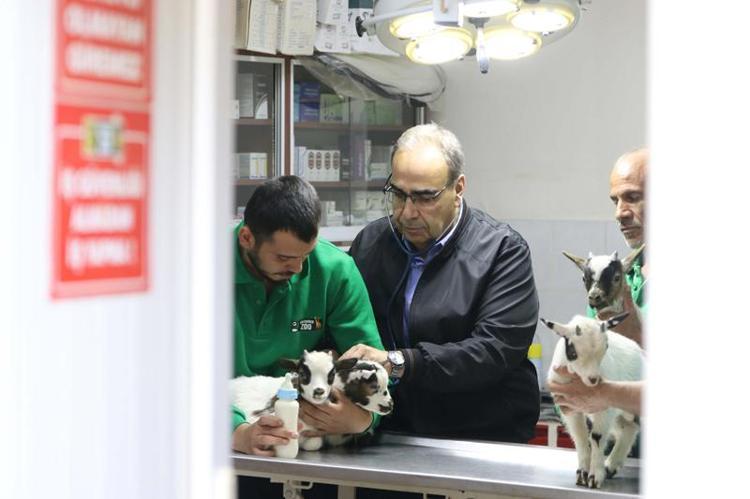 BİBERONLA BESLENİYOR