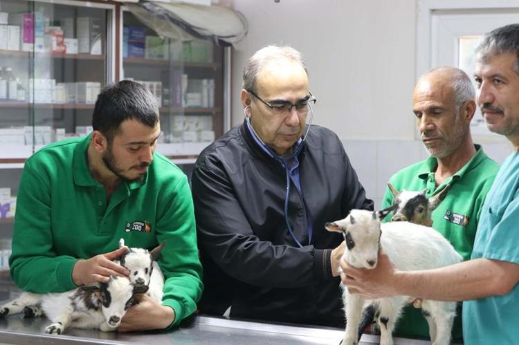 ‘NADİR GÖRÜLEN BİR DURUM’