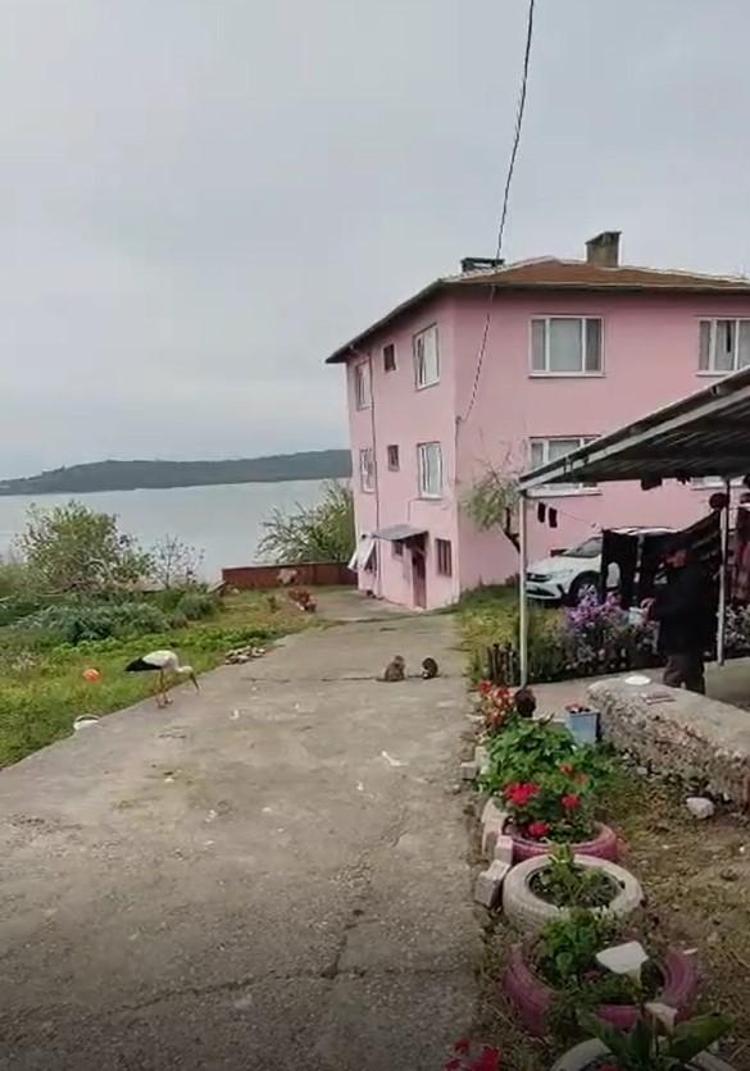 YUVASI İZLENEBİLİYOR