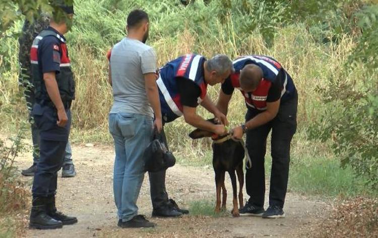 TİNA, ÇALIŞMALARA KATILDI ANCAK KATKISI OLMADI