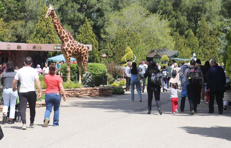 ‘ZİYARETÇİ SAYIMIZ BEKLENENİN ÜZERİNDE’