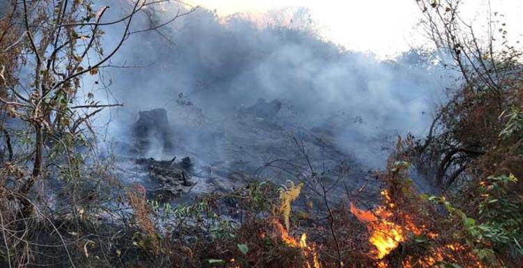 ‘ORMANLAR EKOLOJİK GÜVENLİĞİMİZİN GARANTİSİDİR’