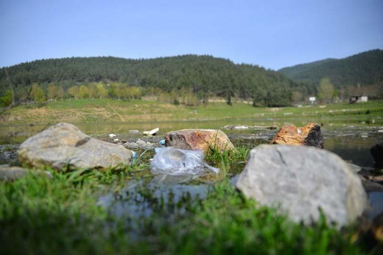 BURASI SADECE BİZİM DEĞİL, HAYVANLARIN DA KULLANIM ALANI