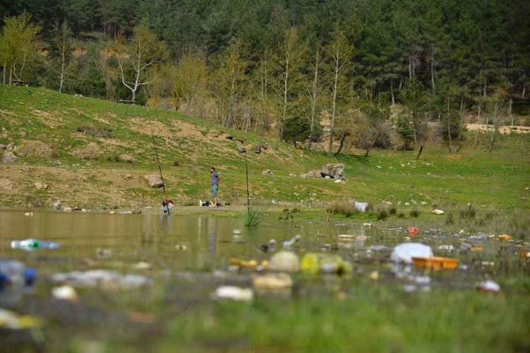 HAYVANLARDA YARALANMA MEYDANA GELİYOR