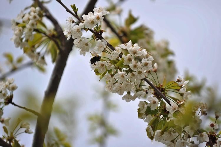 BURADA 4 MEVSİM FARKLI RENKLER OLUŞUYOR