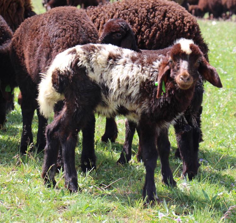 BİZE TERAPİ GİBİ GELİYOR