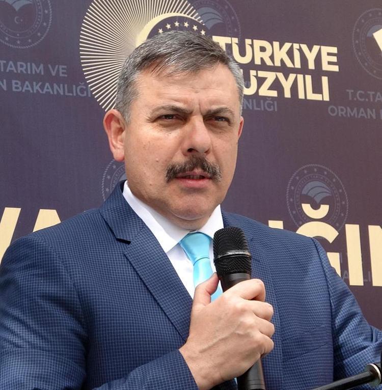 HAYVANCILIK MEMLEKETİ