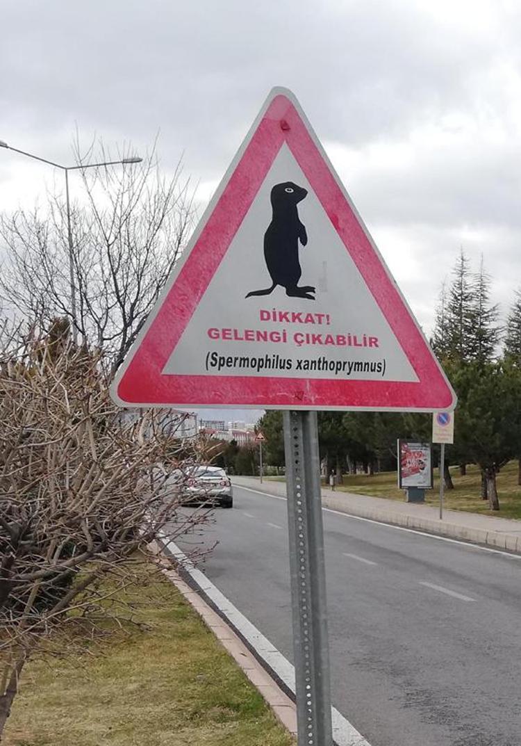 DUYARLILIK OLUŞTURMAK İSTEDİK