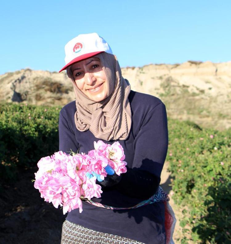 ÇOCUKLUĞUNDAN BU YANA GÜL TOPLUYOR