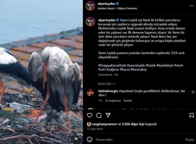 CANLI YAYINLA YUVASI İZLENEBİLİYOR