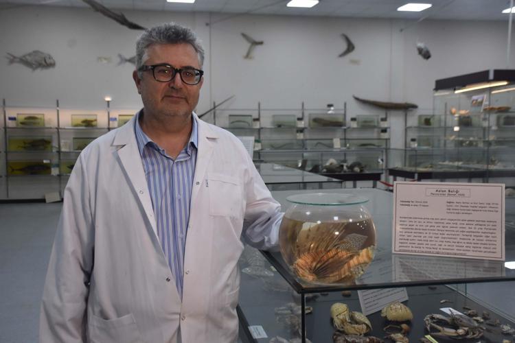 BAZI YERLİ TÜRLER ÜZERİNDE BASKI OLUŞTURABİLİR