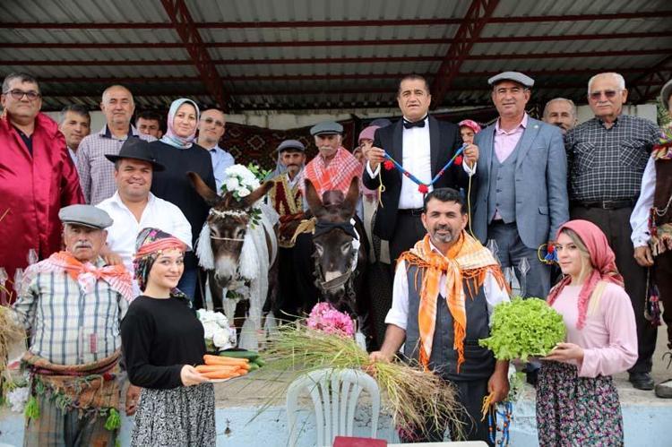 ‘EŞEKLERE HAKARET ETMEYELİM’