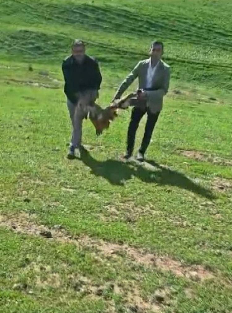 ‘BİLİNÇSİZ AVCILAR İLGİLİ MERCİLERE BİLDİRİLMELİ’