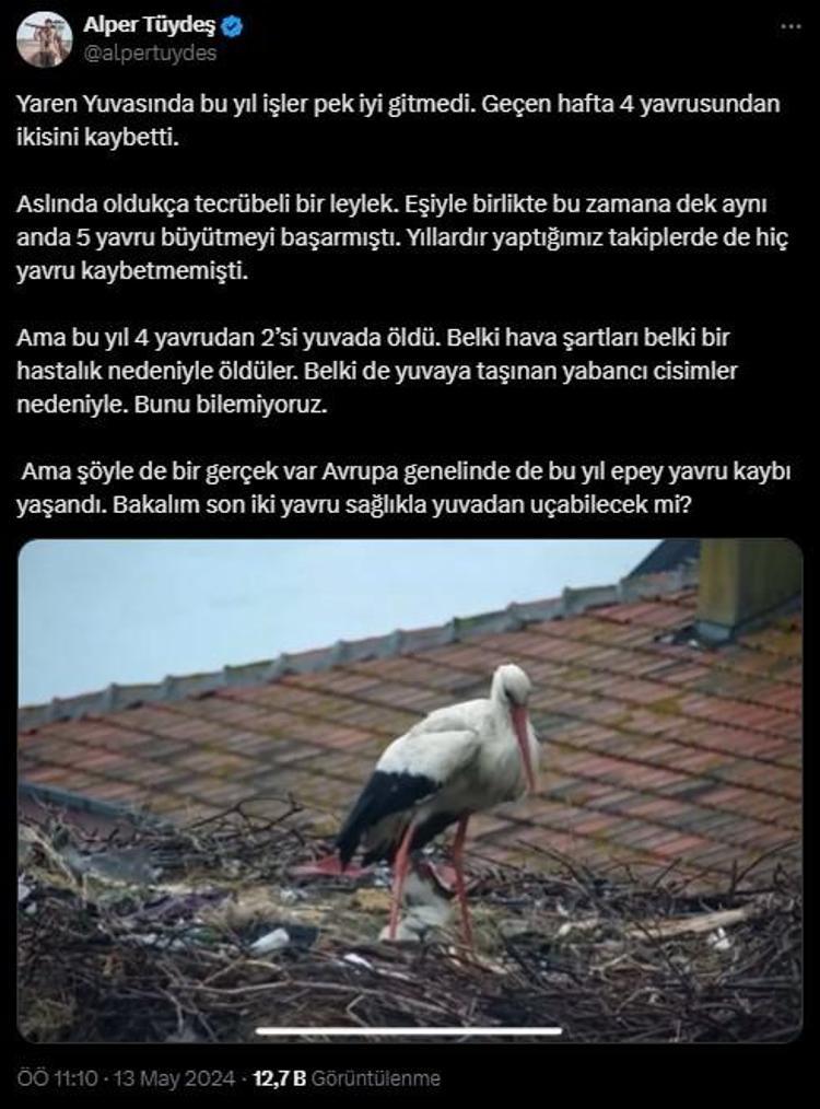 2 YAVRULARINI KAYBETTİLER