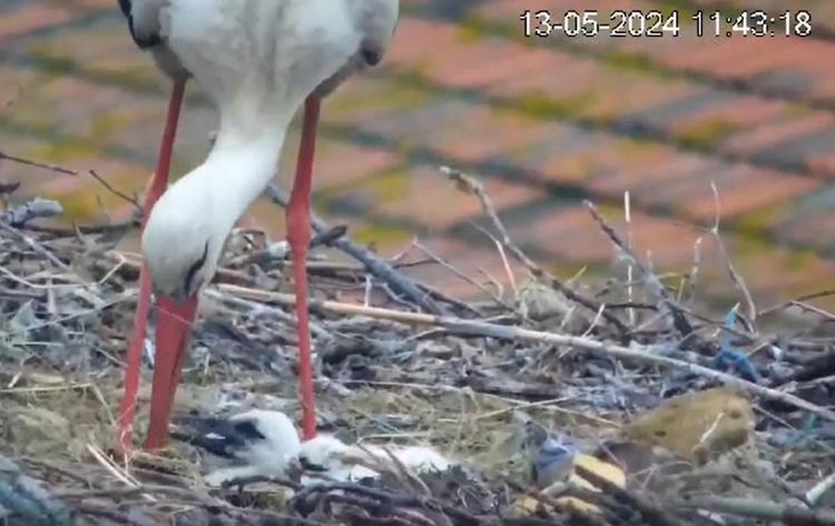 CANLI YAYINLA YUVASI İZLENEBİLİYOR