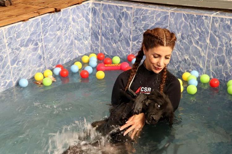 SOKAKTA HAYATINA DEVAM EDEMEZ