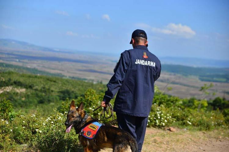 KAFATASI DA BERZEGE AİT ÇIKTI