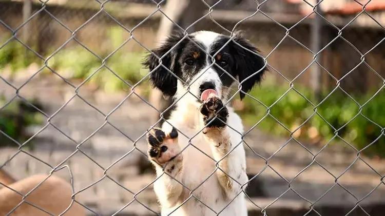 “BİR FON OLUŞTURULMASI GEREKİYOR”