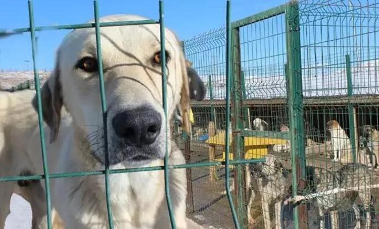 MEVCUT KANUN UYGULANSAYFI BUGÜN BU SORUNLARI KONUŞMAYACAKTIK”
