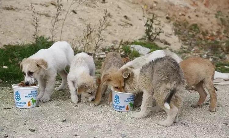“BARINAK KAPASİTESİNİN ARTIRILMASI GEREKİYOR”