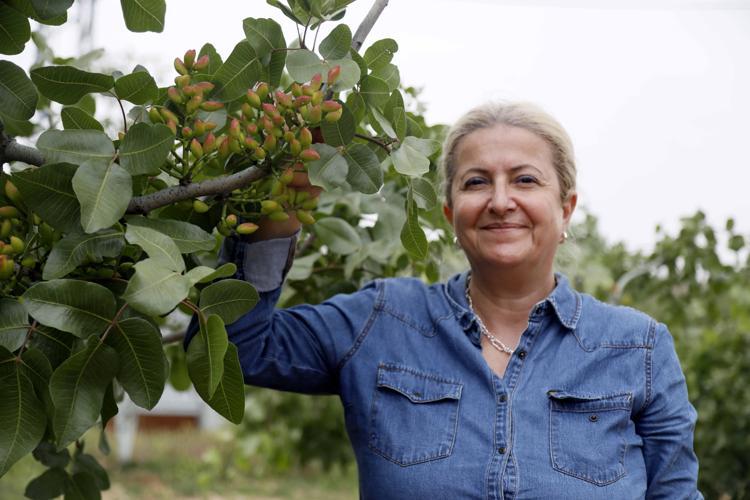 GAZİANTEP VE ŞANLIURFAYA NAZARAN DAHA RAHAT YETİŞİYOR