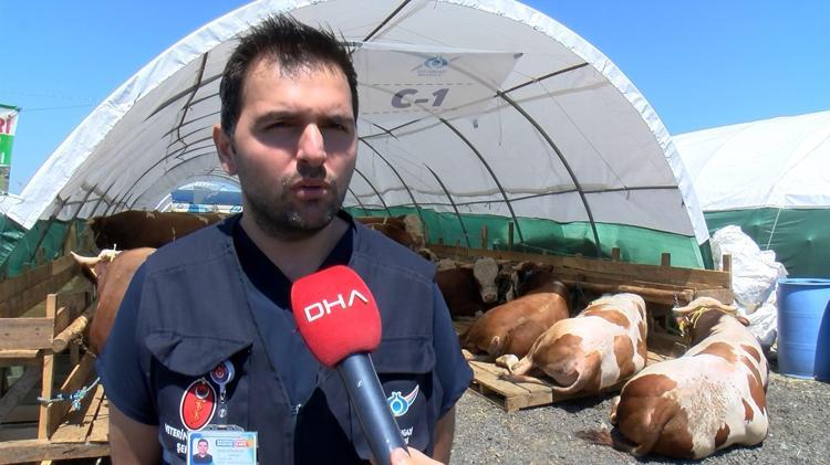 “KIZILELMA, 1 TON 650 KİLO İLE GÖRÜCÜYE ÇIKACAK