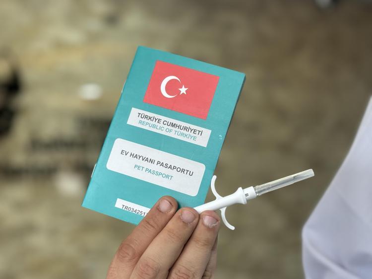 İL İL ÇİP RAMALARI