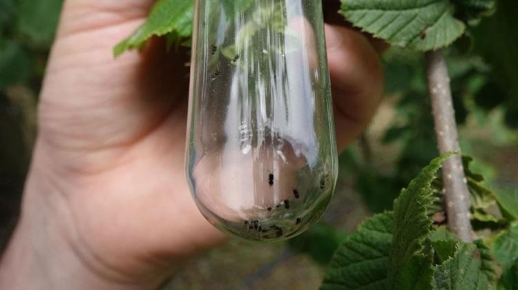 ‘TÜRK MÜHENDİSLERİ ÇAĞIMIZA DAMGA VURMUŞTUR’