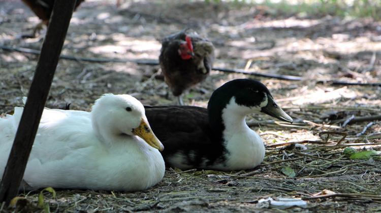 BÜTÜN SIKINTILARIMI ONLARLA UNUTUYORUM