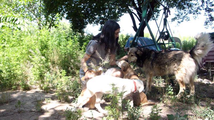 SOKAKLARDAKİ KÖPEKLERE YARDIM ETMEYE ÇALIŞIYORUM