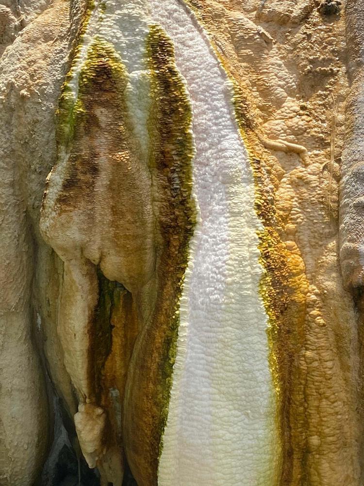 GÖNÜLLÜ İNSANLAR ARIYORUZ