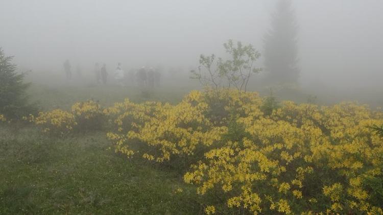 ‘TURİZM TESİSLERİNE KARŞI DEĞİLİZ’