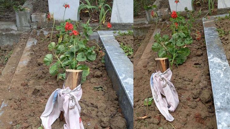 İZMİRE SEVK EDİLMİŞ