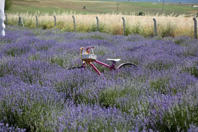 TATİL İÇİN İSTANBULDAN GELEN ZİYARETÇİLERİMİZ ÇOK FAZLA
