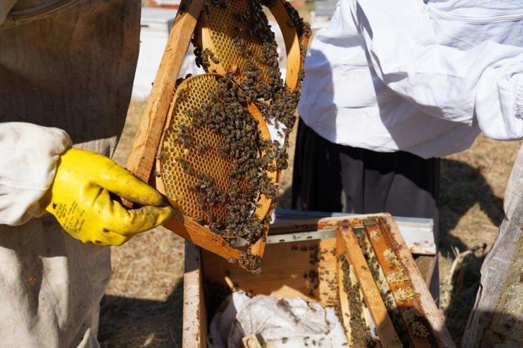 BALIMIZI TÜM TÜRKİYEYE TATTIRMAK İSTİYORUM