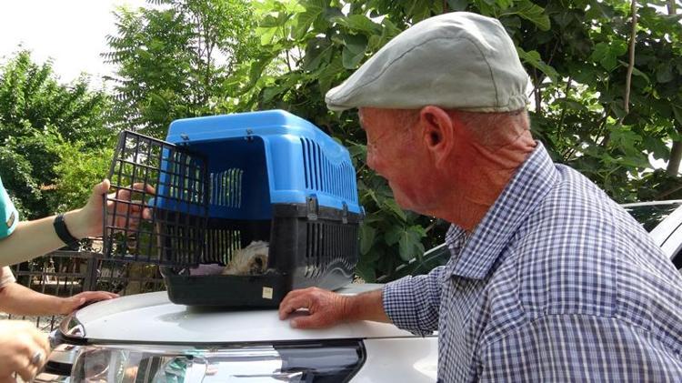 ESKİKARAĞAÇ, LEYLEKLERİN GÖÇ ROTASINDA