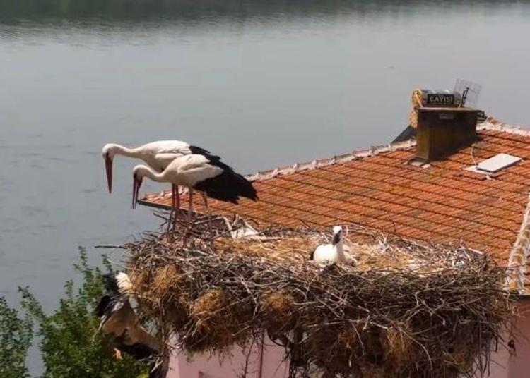 İTFAİYE EKİPLERİ KURTARDI