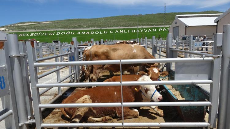 BAYRAM SABAHINA KADAR BAKIM