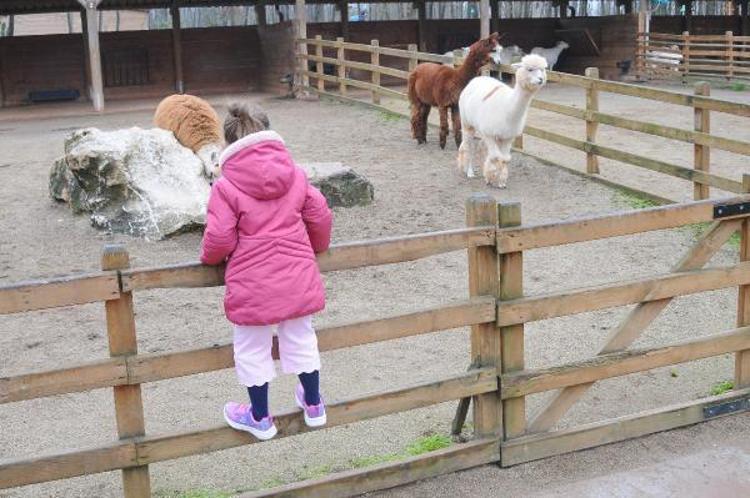 BAKAN YUMAKLIDAN ORMAN YANGINI UYARISI