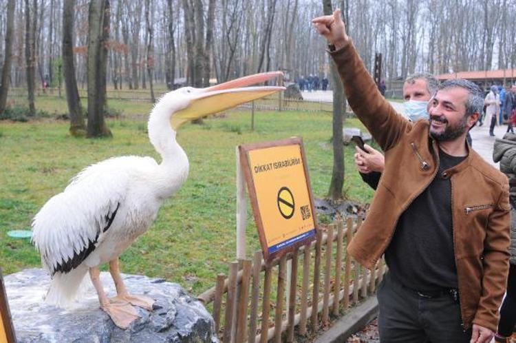 GEÇEN YIL 4 MİLYONU AŞTI