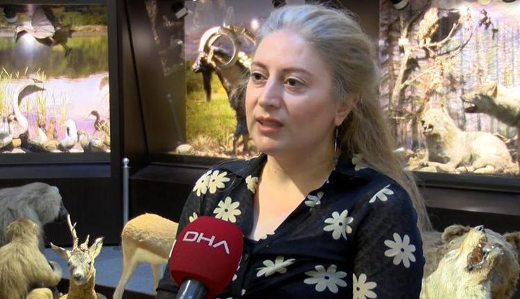 LABORATUVARIMIZDAKİ ÖRNEK SAYISI ARTINCA KOLEKSİYONA DÖNDÜ