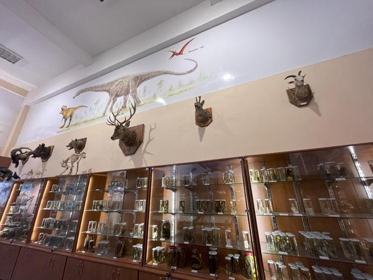 YAŞAM ALANLARINA UYGUN DİYAROMA DOLAPLARI OLUŞTURDUK