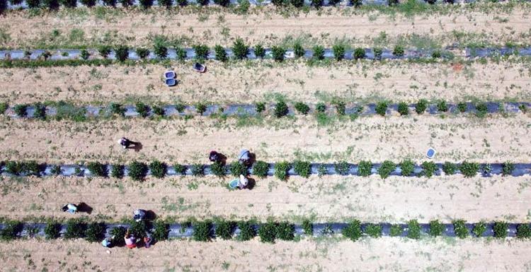 TALEBE YETİŞEMİYORUZ